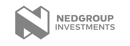 nedgroup investments logo link